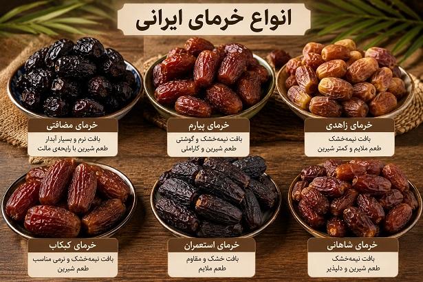 tipi di datteri iraniani tipi di datteri iraniani