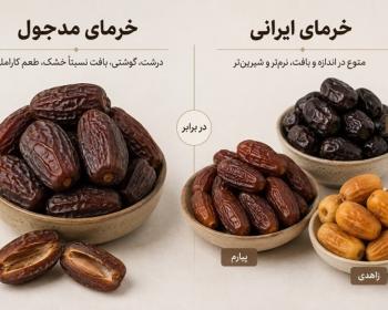 خرمای مدجول یا خرمای ایرانی