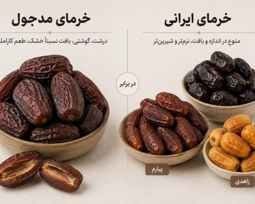 خرمای مدجول یا خرمای ایرانی خرمای مدجول یا خرمای ایرانی