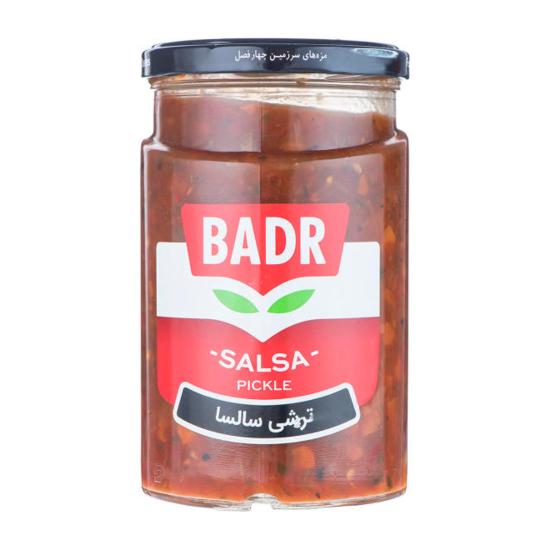 ترشی سالسا بدر 630 گرم