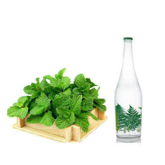 عرق نعنا آدونیس