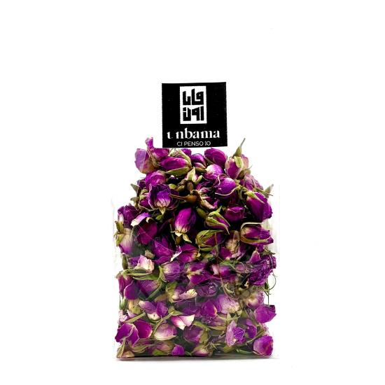 Boccioli di Rosa Boccioli di Rosa