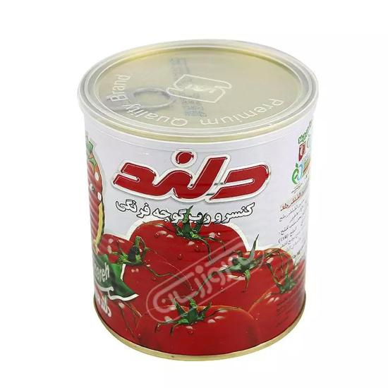 کنسرو رب گوجه فرنگی دلند 800 گرم