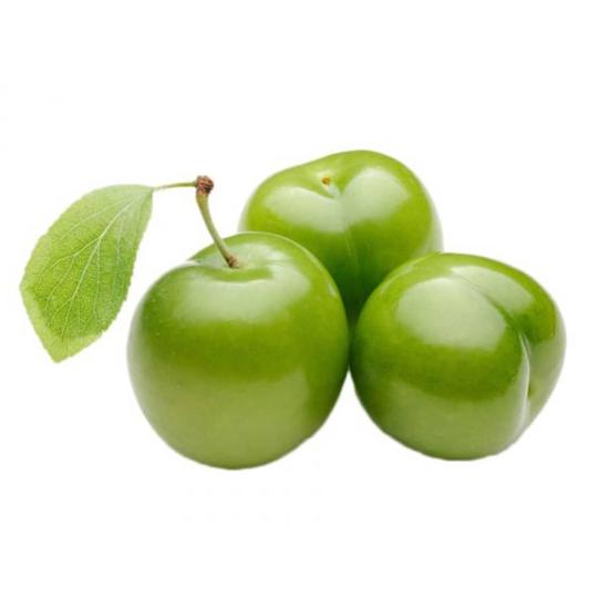 Prunus domestica (Goje sabz)