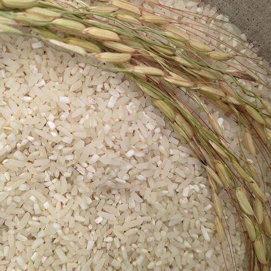 برنج دانه شکسته