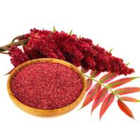 سماق نمکدانی مهیار 90 گرم