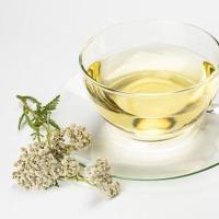 Distillato di Achillea millefoglie 1000ml