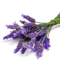 عرق اسطوخودوس مهیار