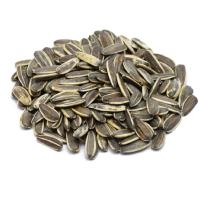 تخمه آفتابگردان گلپر