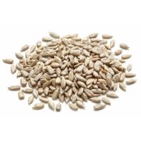 مغز تخم آفتاب گردان خام