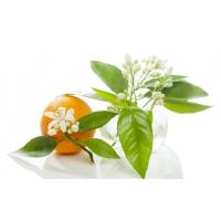 عرق بهارنارنج یک لیتری خانوم خانوما