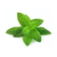 Distillato di Menta Khanum khanuma 400ml