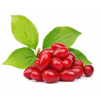 ترشک زغال اخته آی ترش