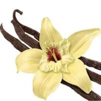 وانیل شکری 50 گرمی صیتی