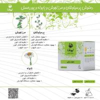 دمنوش معجون رویایی نیوشا