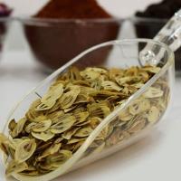 گلپر صیتی کیسه ای