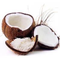 Cocco in Polvere Seyti