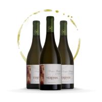 Vino Yerevan 782 BC Bianco