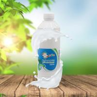 دوغ کوچک پیتو با طعم نعنا