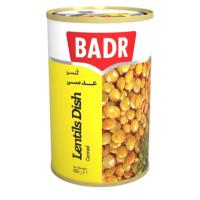 Conserve di Zuppa di Lenticchie Badr