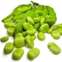 باقالی سبز تازه پاک کرده