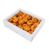 نان خرمایی گردویی مخصوص شکرریز