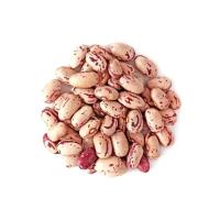 Fagioli Borlotti del Kurdistan 500 g