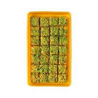 Sohan cubetti Takht Jamshid 100 gr