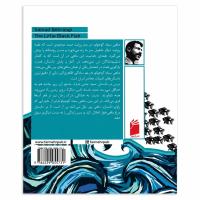 Il pesciolino nero Samad Behrangi