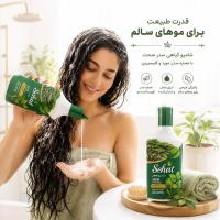 شامپو گیاهی سدر صحت 300 گرم